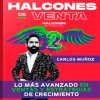 Curso Halcones de Venta 2 – Carlos Muñoz